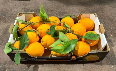 Foto Arance Tarocco Affogliato Calibro 4 Origine Italia Marchio Eccellenza Capitale  1